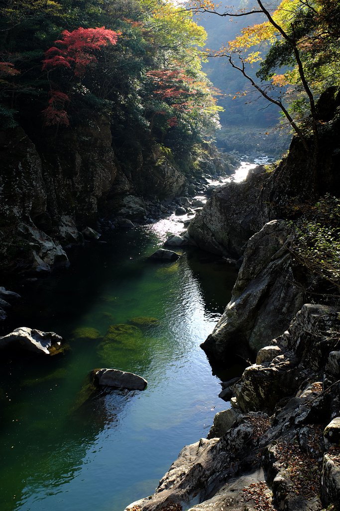 Fuji XF16-55 2.8