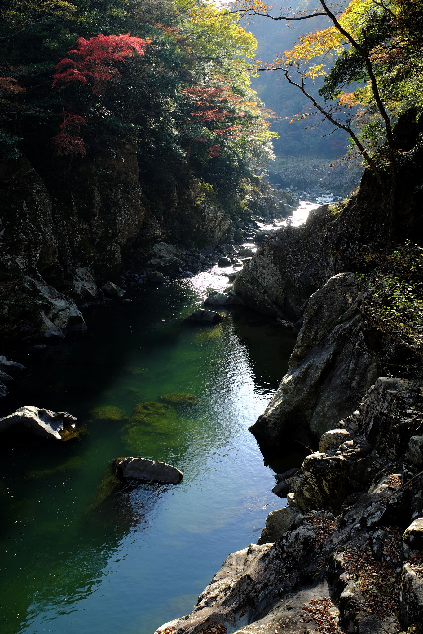Fuji XF16-55 2.8