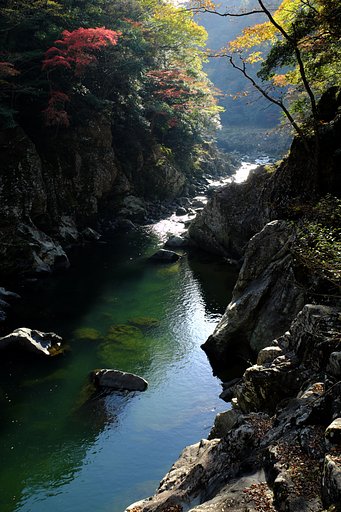 Fuji XF16-55 2.8