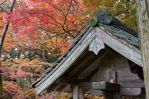参道
