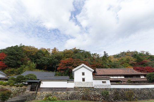 SIGMA 10-20mm F4-5.6 EX 