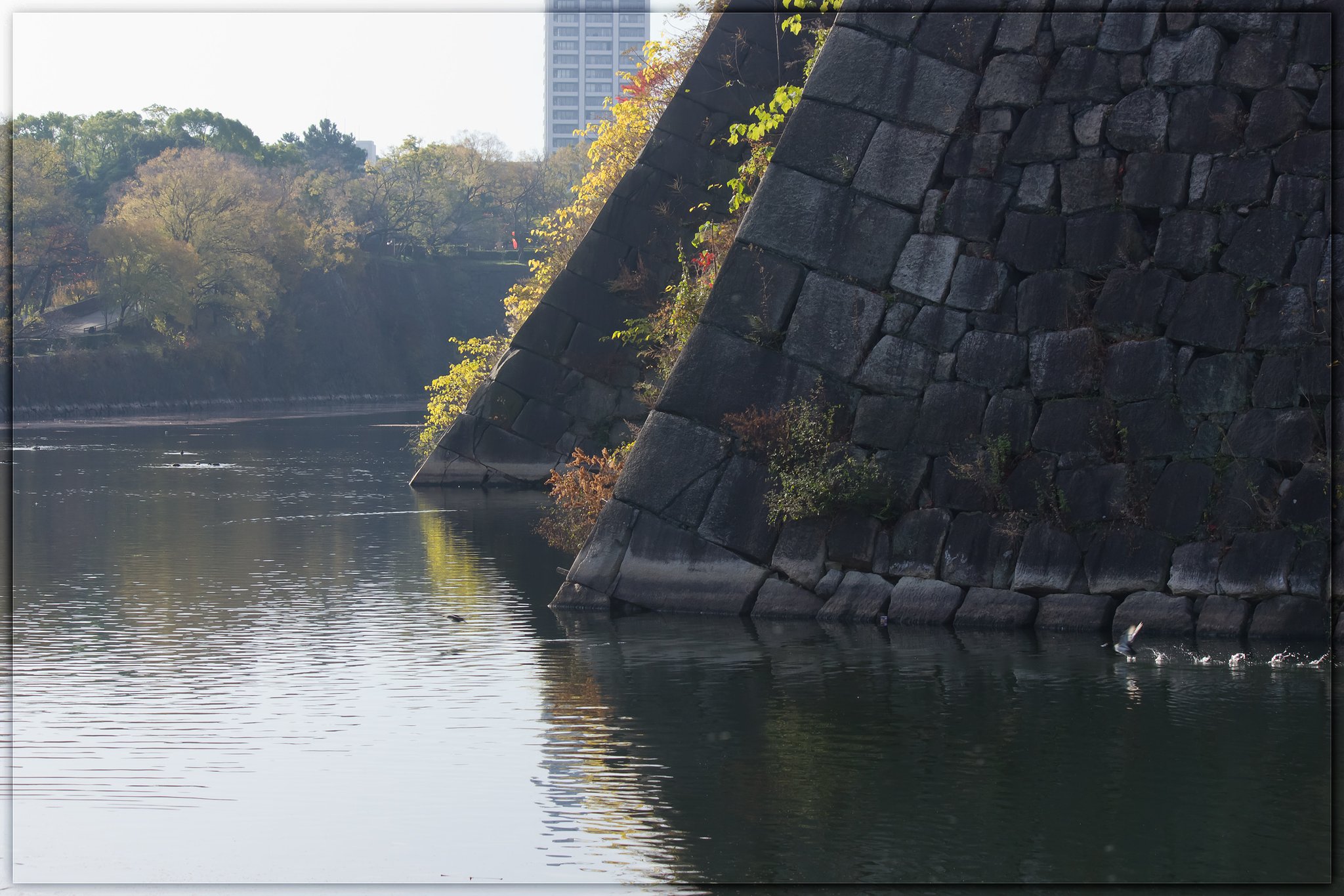 お濠の水音
