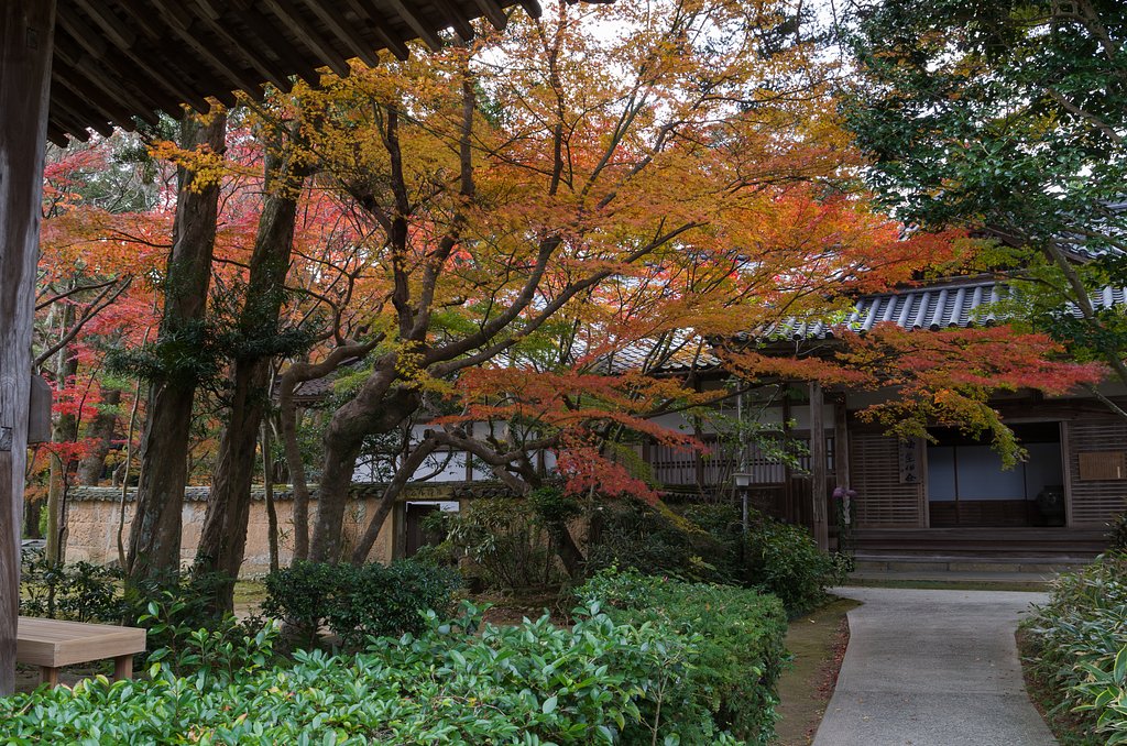 覚苑寺