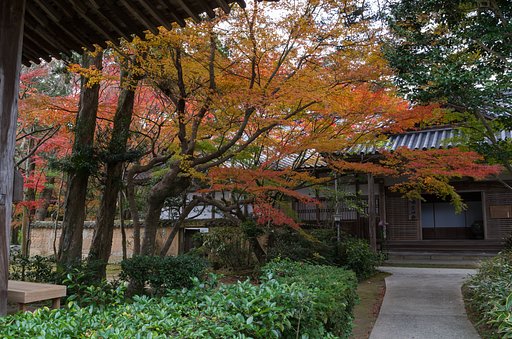 覚苑寺