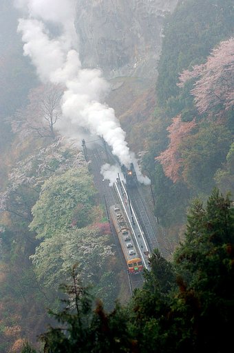桜の山間に汽笛が響く