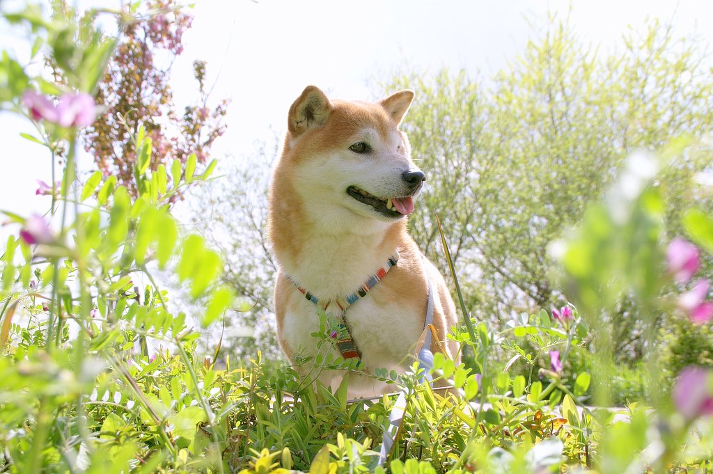 実る田匍匐協同組合
