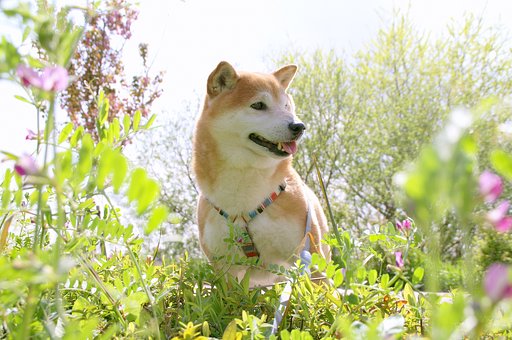 実る田匍匐協同組合