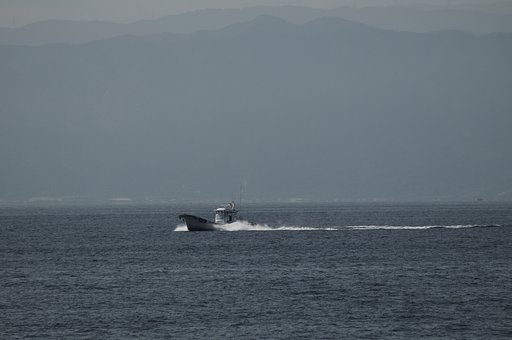微睡みの海