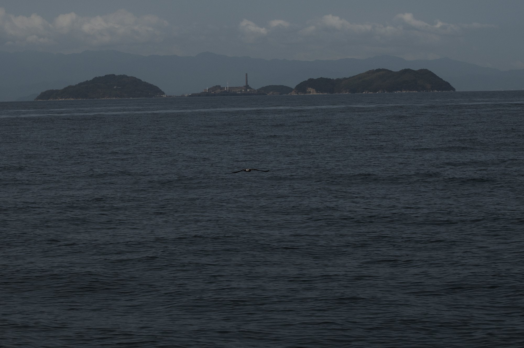 まどろみの海