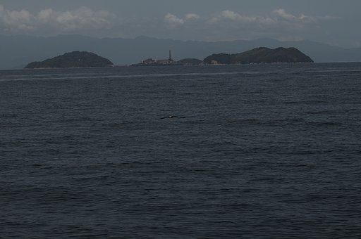 まどろみの海