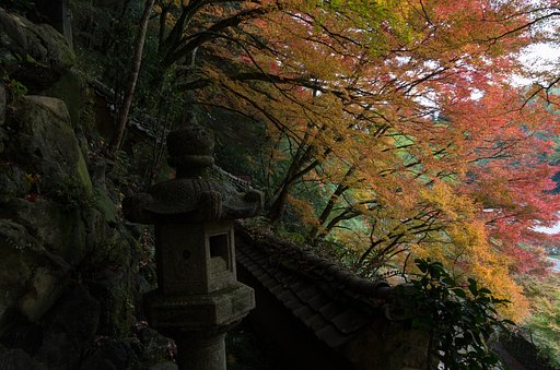 SIGMA 10-20mm F4-5.6 EX 