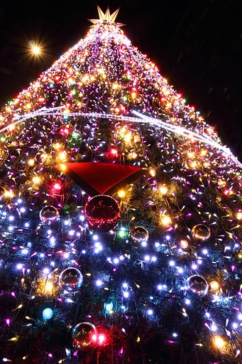 【今年の一枚】クリスマスツリーは一度きり？