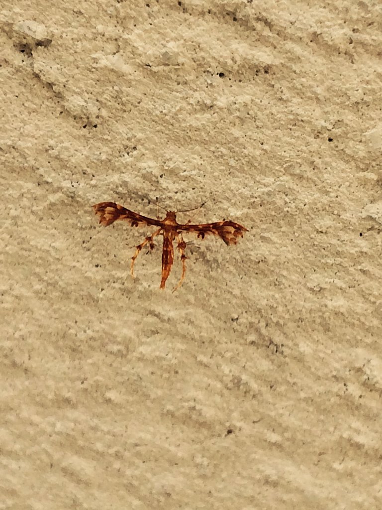 これは？