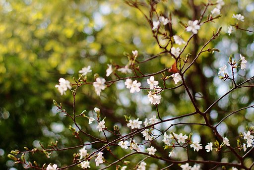 【春夏秋冬】季節のはじまり