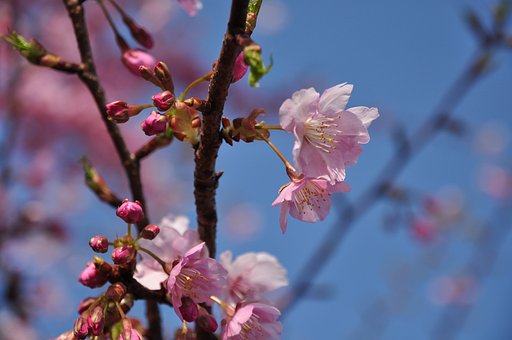 【春夏秋冬】待ち焦がれる
