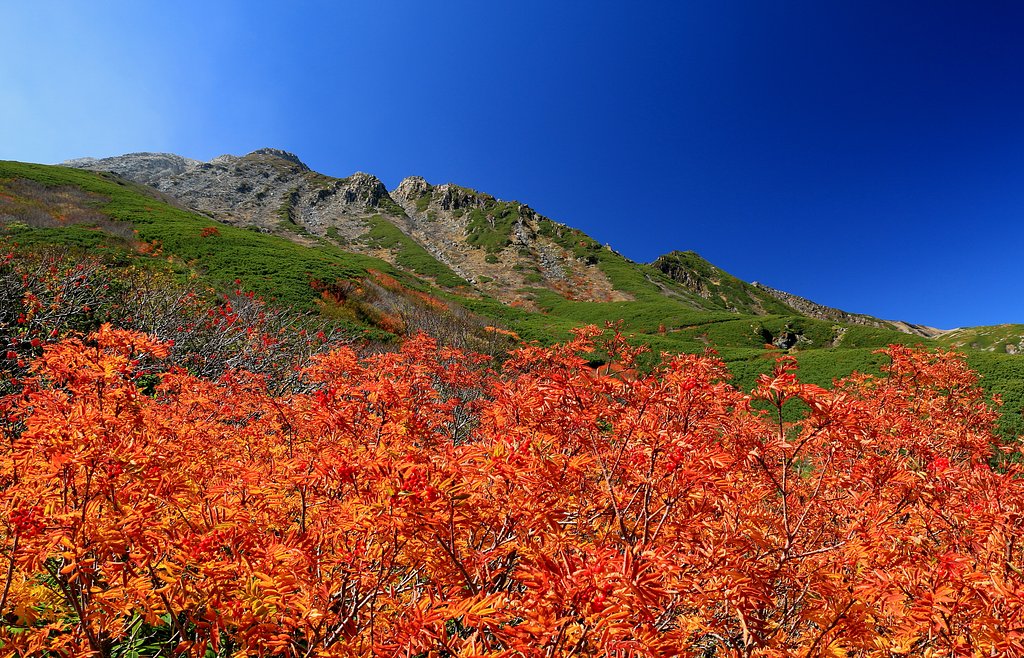 御嶽山