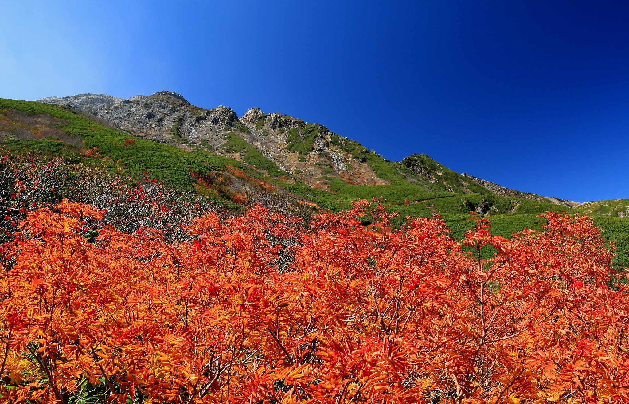 御嶽山
