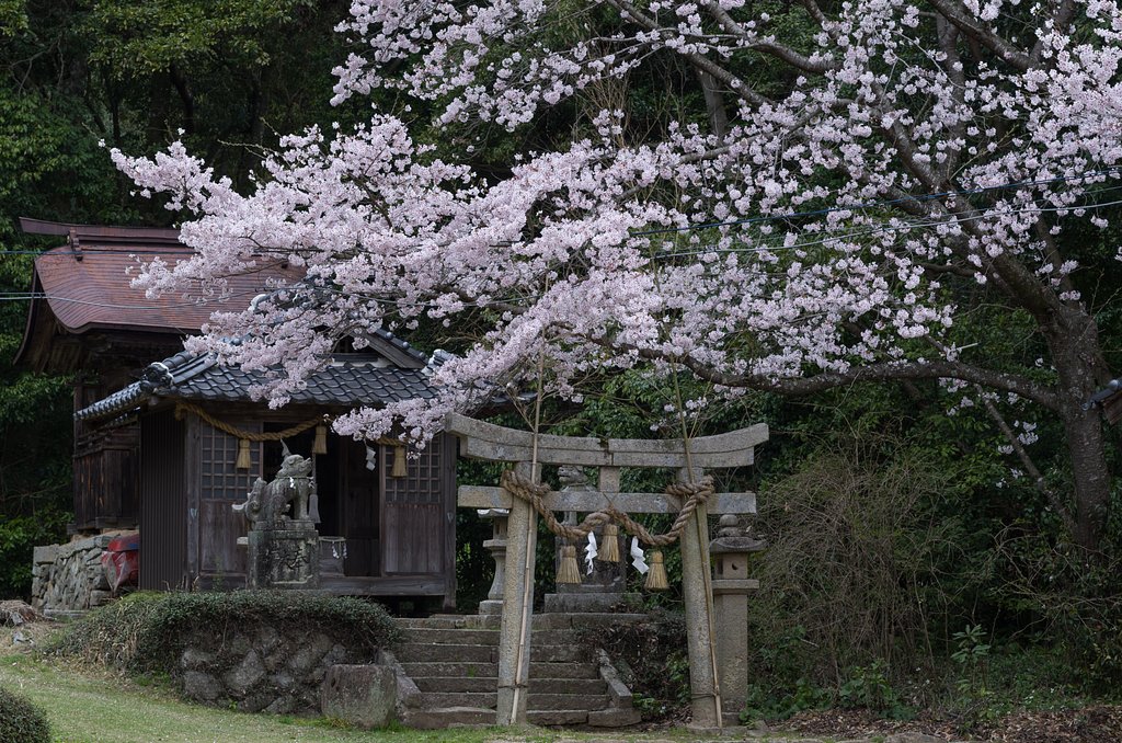 祠