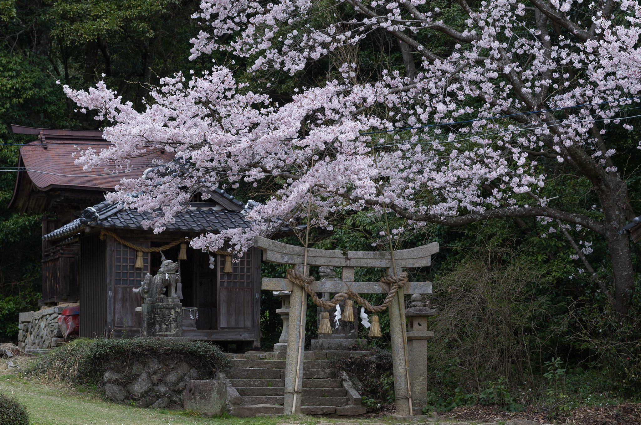 祠