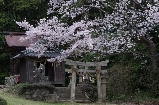 祠