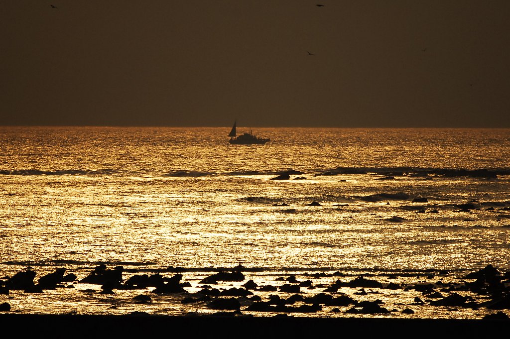 黄金の海