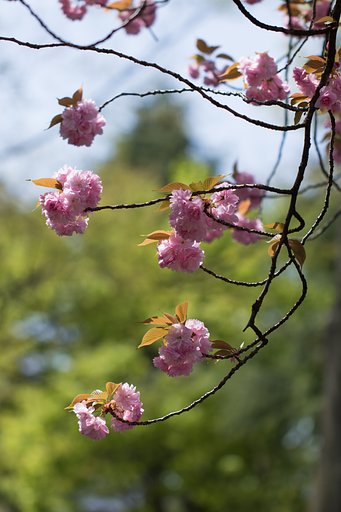 EF100mm F2.8 L MACRO