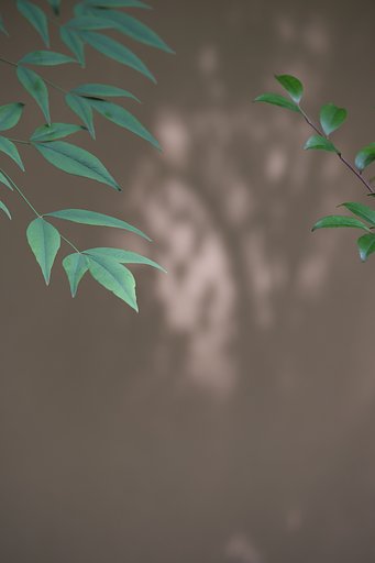 影