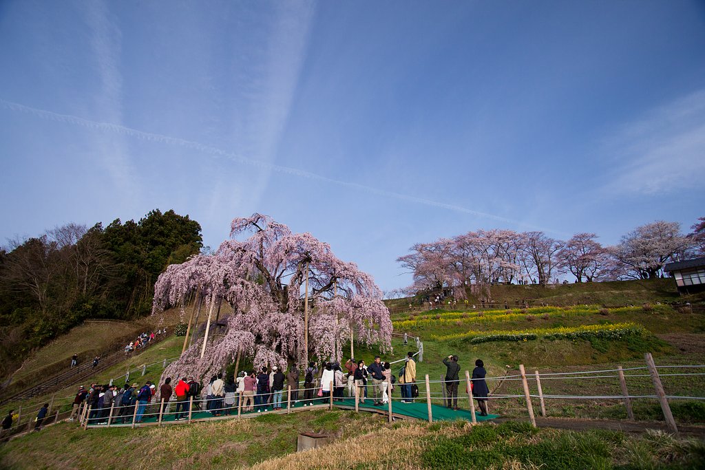 TAMRON 17-35 F2.8(A05)