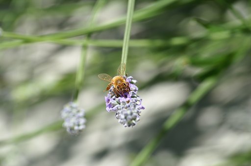 初マクロ
