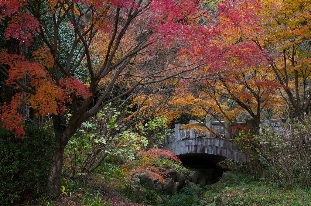 山寺