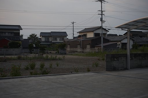 顔半分出し