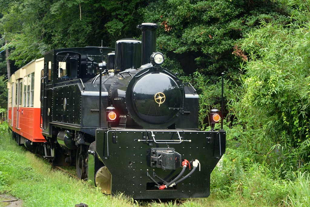 里山トロッコ号