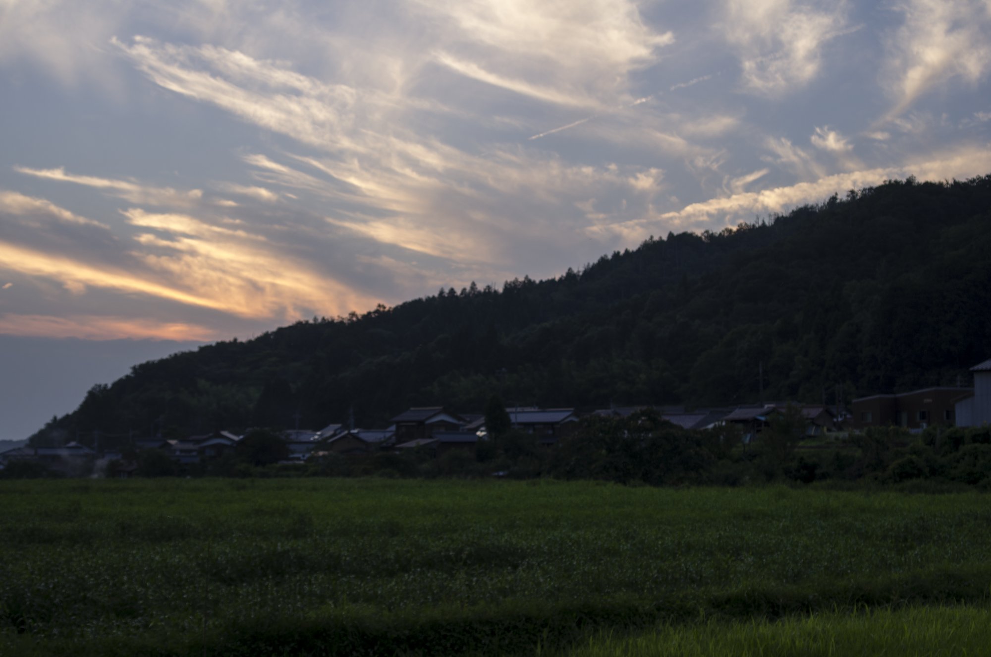 夕焼けに。