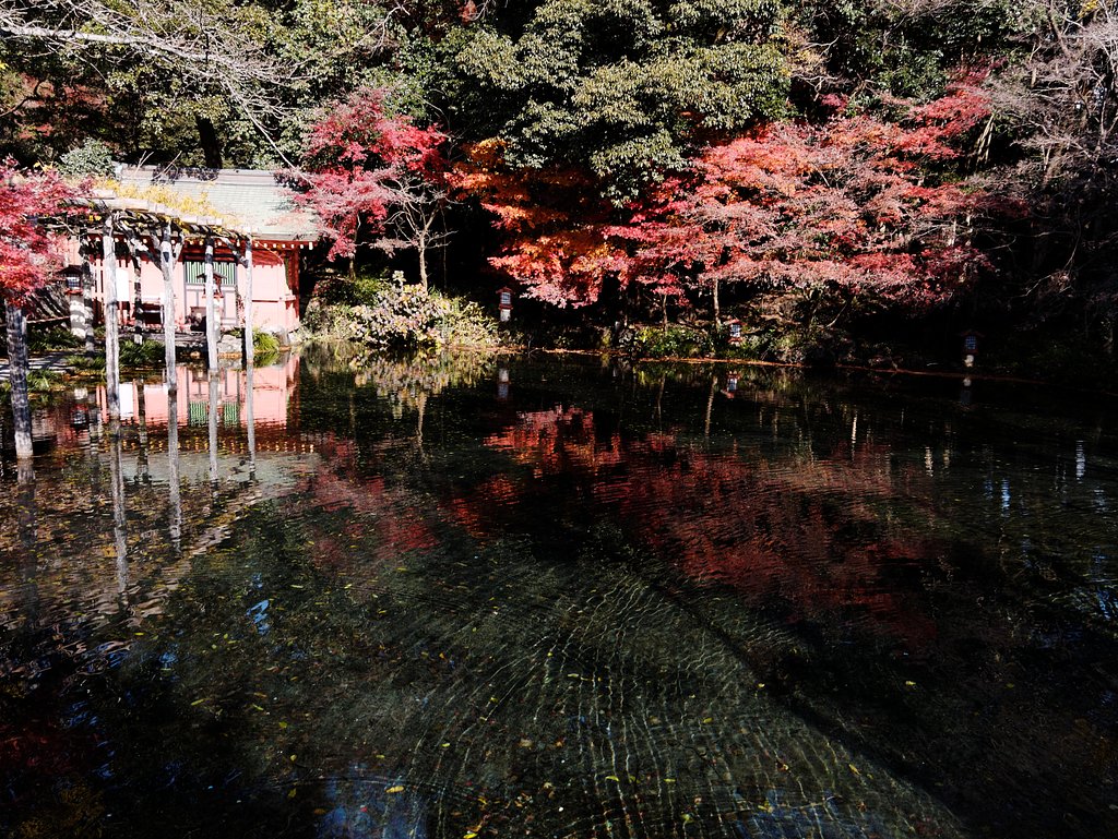 波紋
