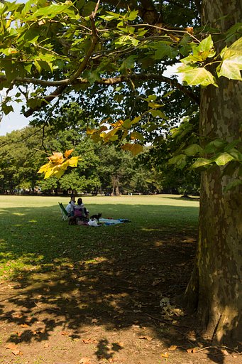 SUMMICRON-M 35mm F2.0 ASPH