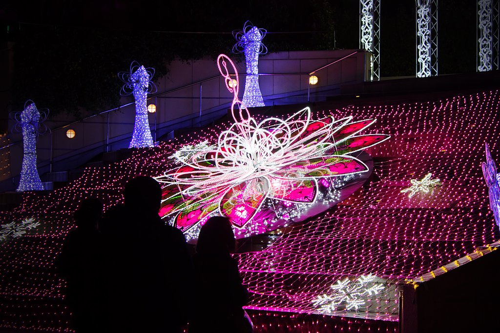 イルミの花