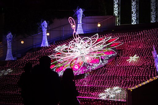 イルミの花