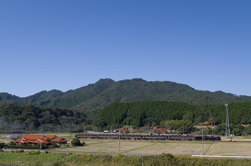 遠くで汽笛を