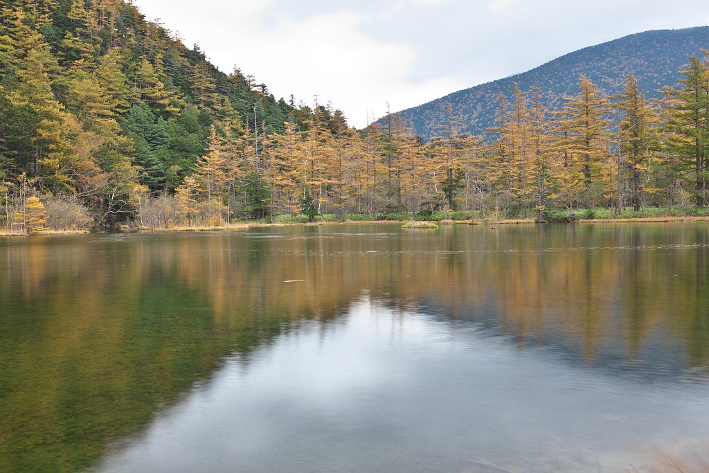 明神池の黄葉