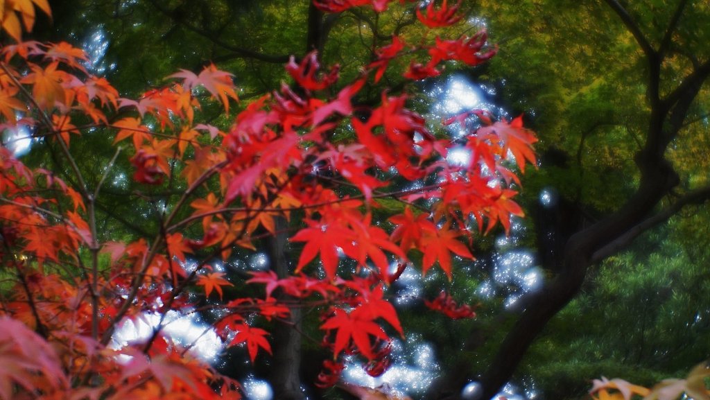 豪徳寺にて