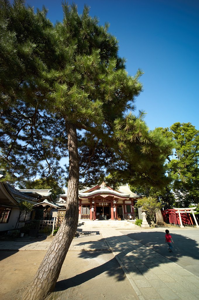 Distagon 2.8/15 ZM