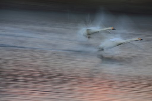 モルゲンロートを駆ける