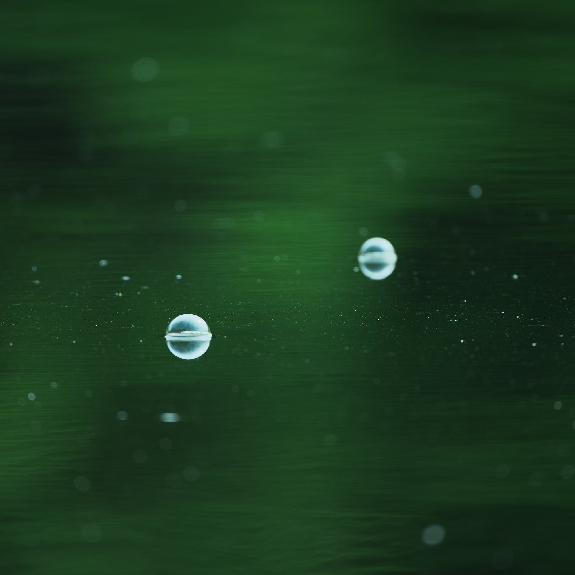水の惑星か