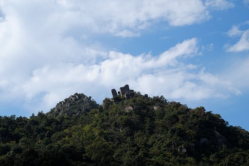 Fuji XF55-200