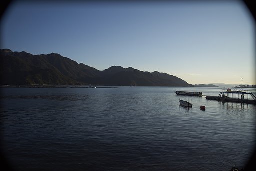 1月15日の写真