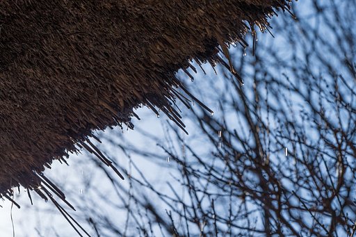 EF180mm F3.5 L MACRO
