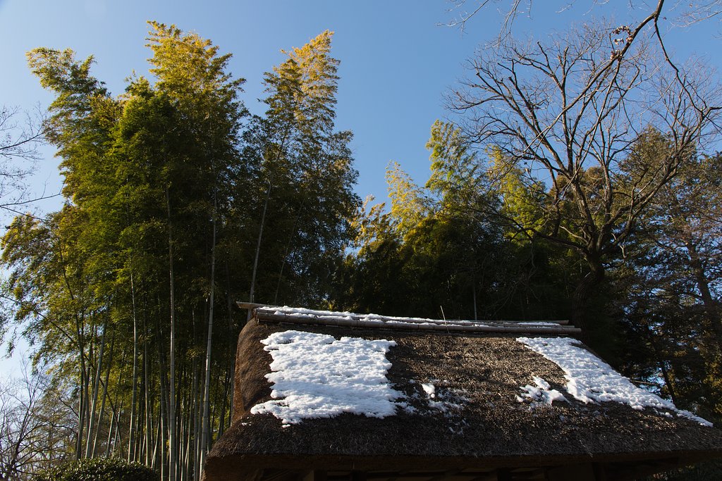 EF-S 15-85mm F3.5-5.6 IS USM