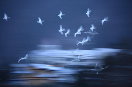 夜明けのうた