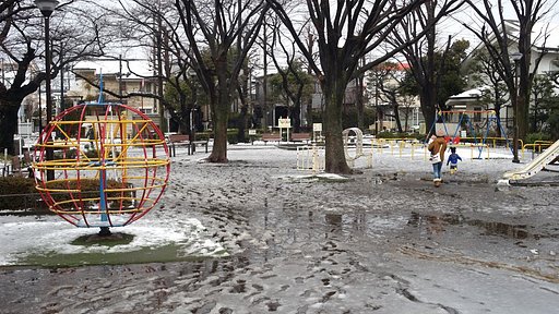 雪の朝