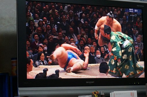負けちゃツター